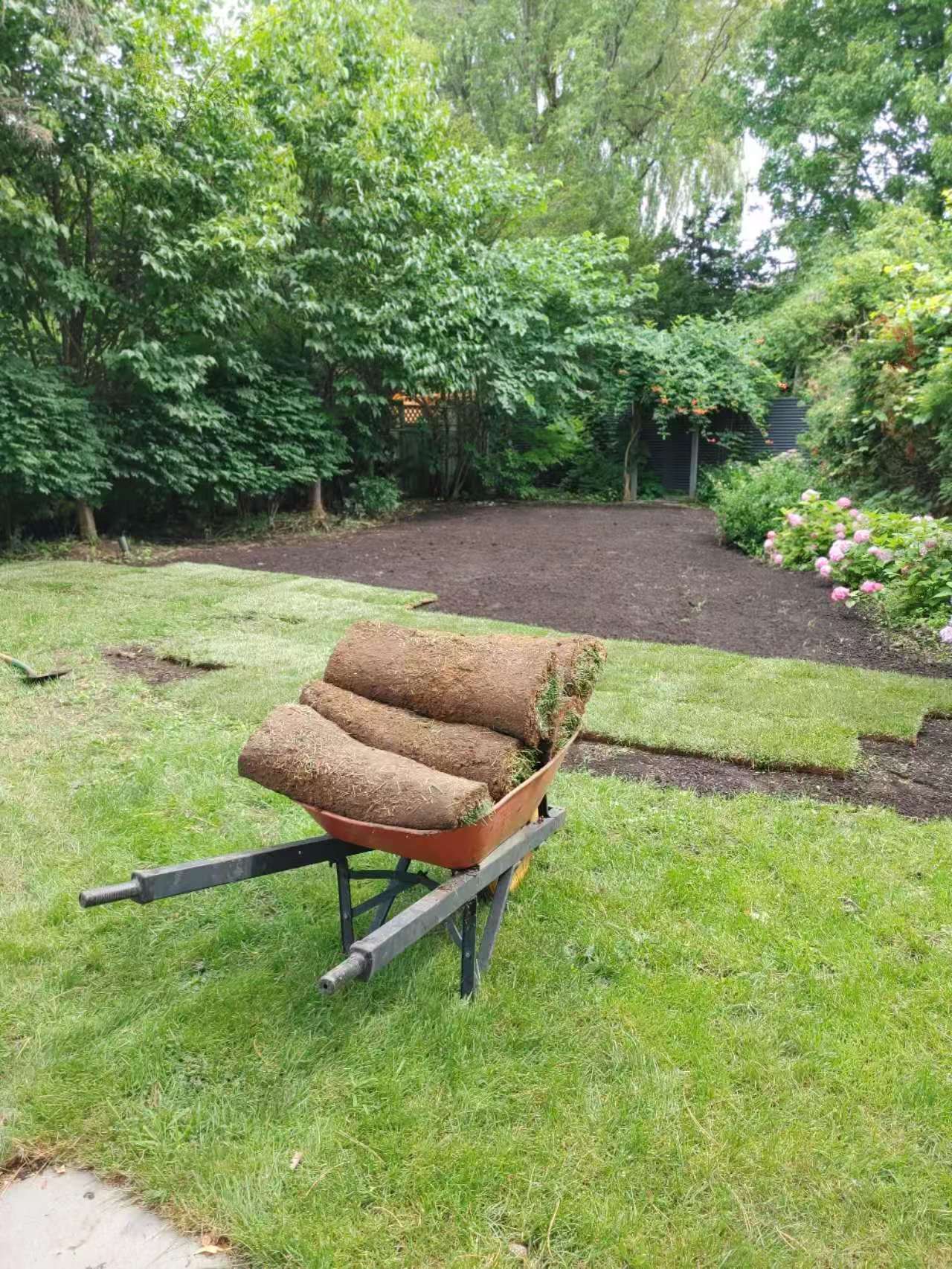 Gardening Image
