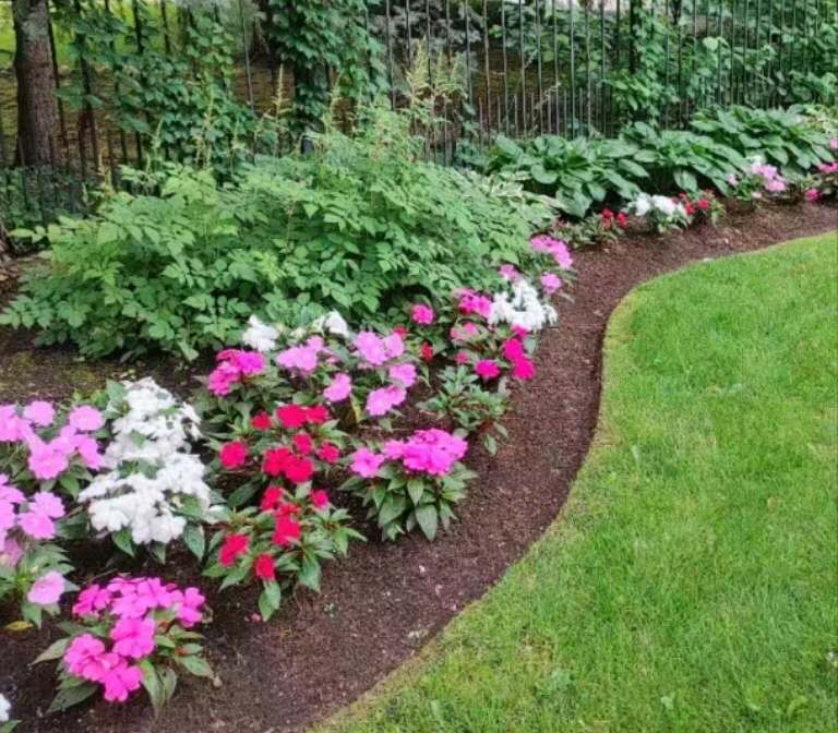 Gardening Image