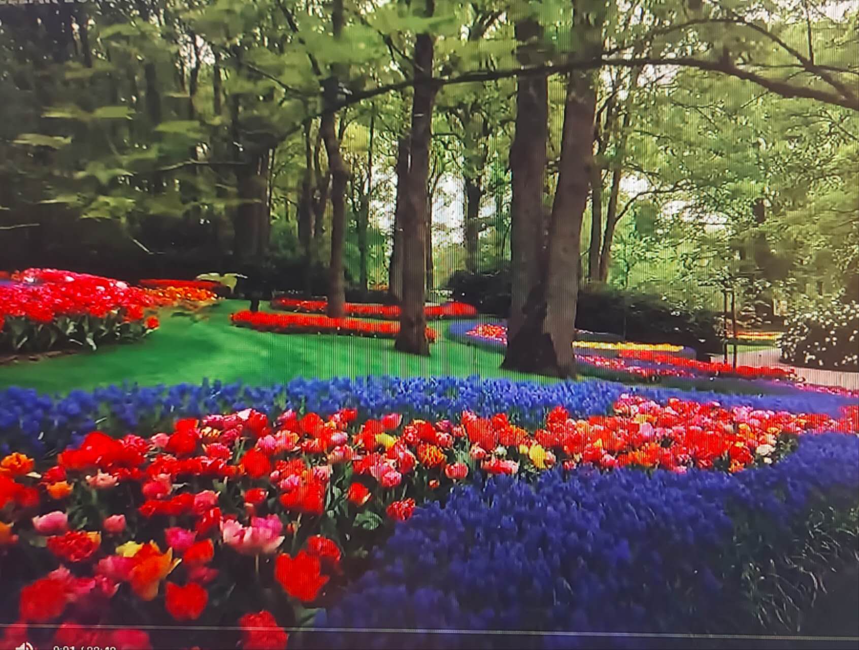 Gardening Image